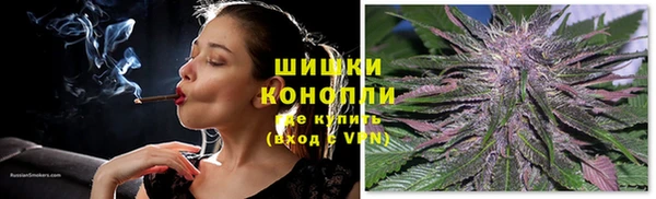 соль ск Богданович