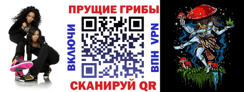 Галлюциногенные грибы Psilocybine cubensis  наркотики  Полтавская 